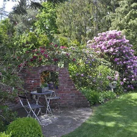 Ferienhaus Oma Dora Bispingen