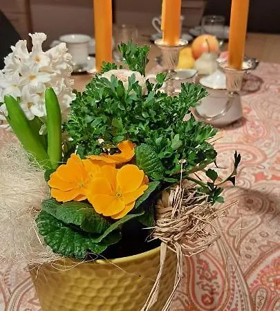 Ferienhaus Oma Dora Nyaraló